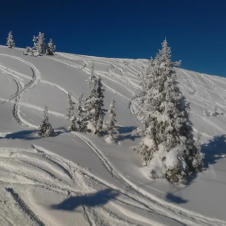 Casa de hóspedes Andrea