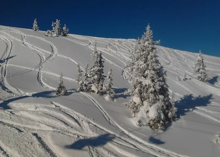 Casa de hóspedes Andrea